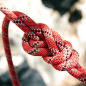 Close-up of an eight knot